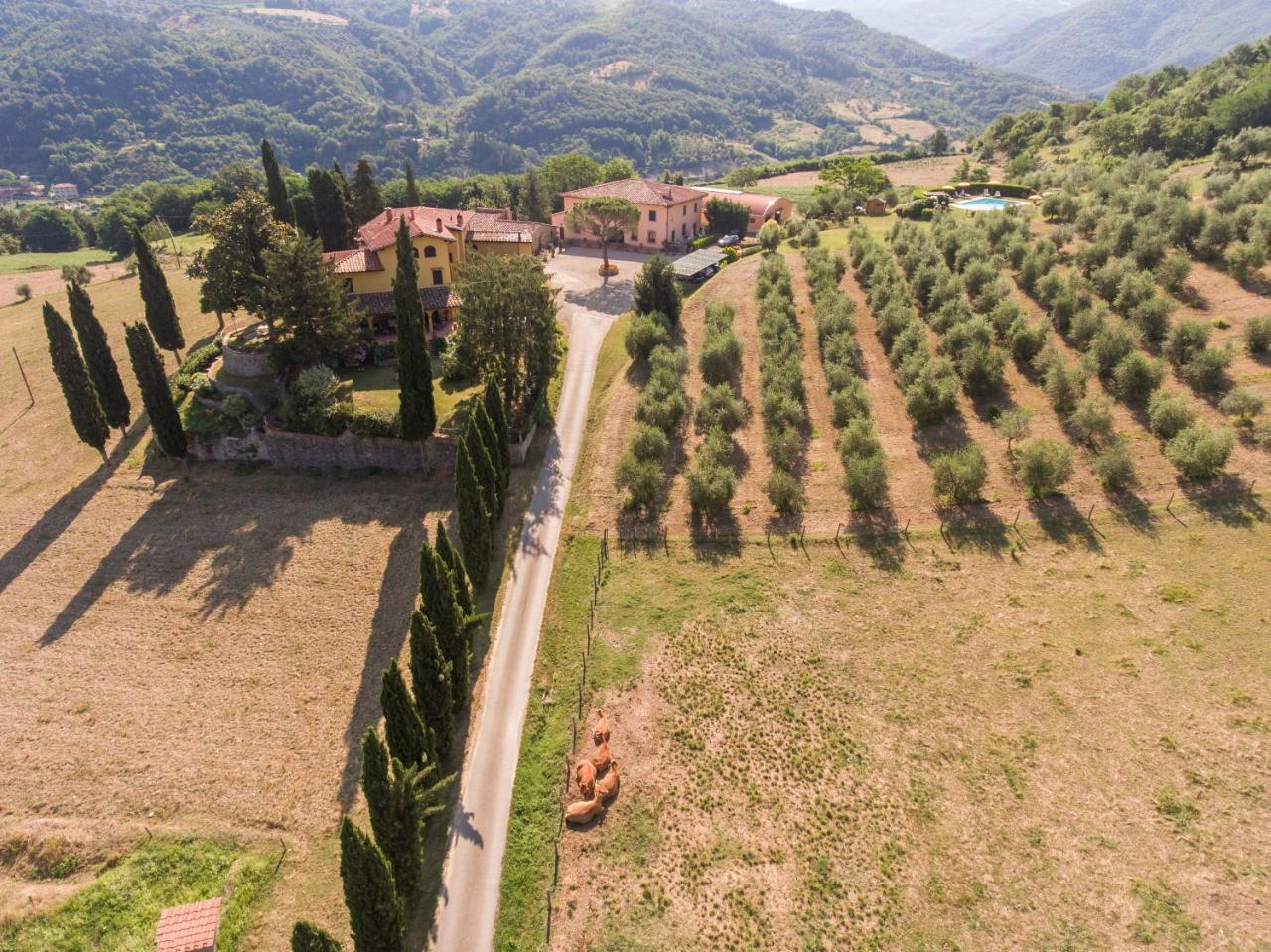 Trebbiolo Villa Dicomano Exterior photo